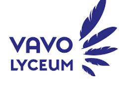 vavo logo